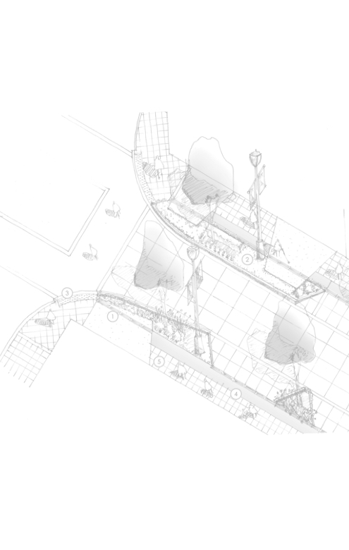 background site plan image