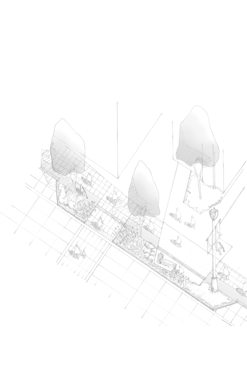 background site plan image